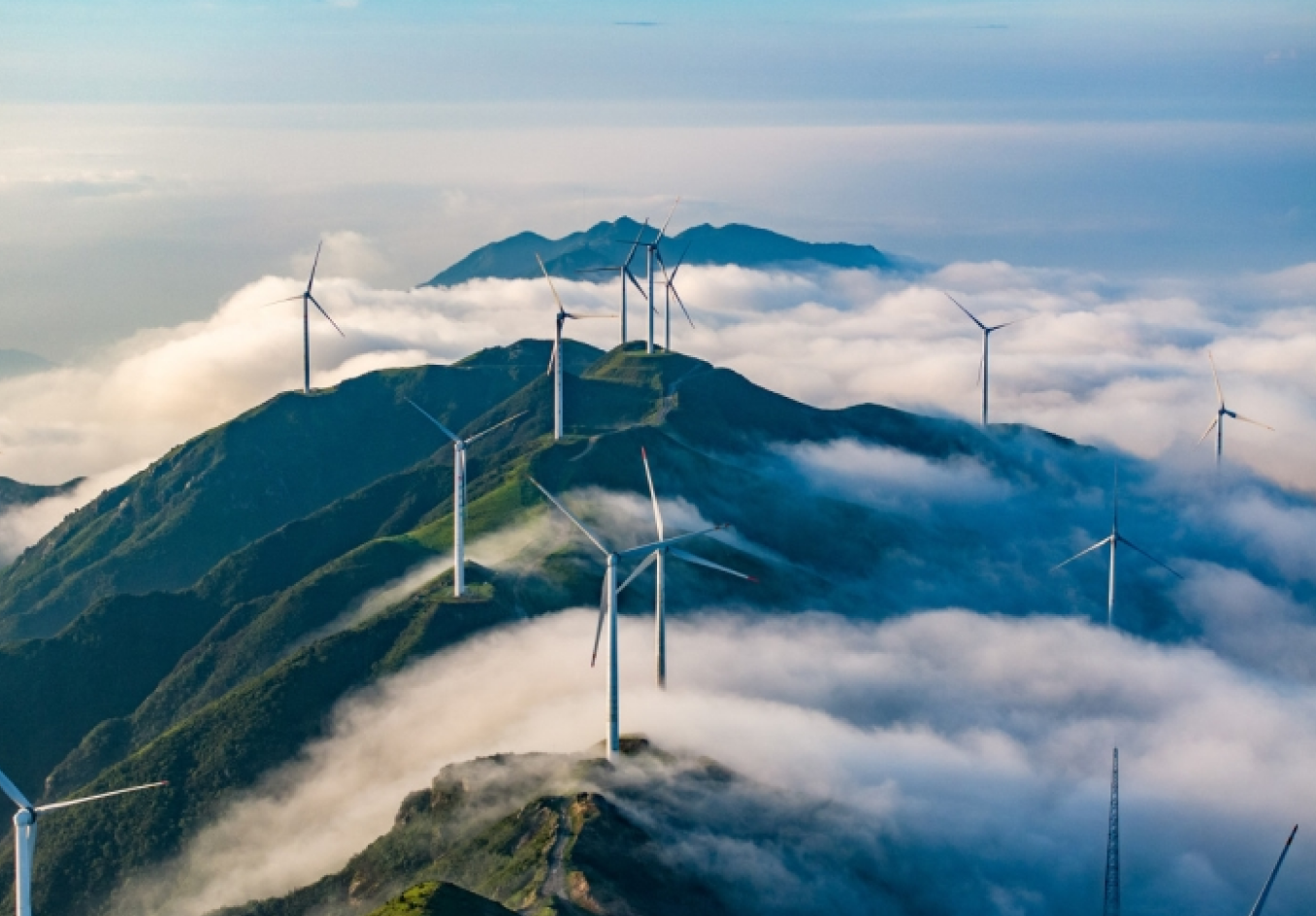 저탄소 추진, 녹색 미래